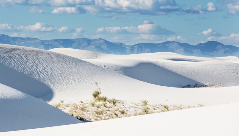 White-sands-scaled